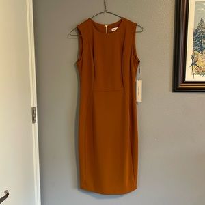 Calvin Klein NWT burnt orange dress